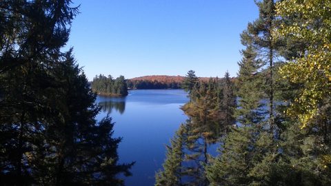 Photo from Thanksgiving weekend in Algonquin Provincial Park
