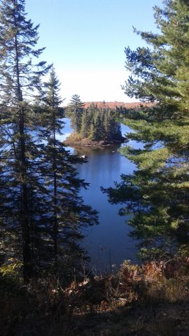 Photo from Thanksgiving weekend in Algonquin Provincial Park