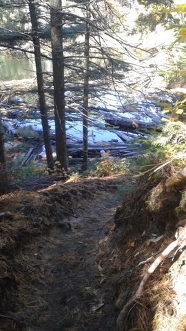 Photo from Thanksgiving weekend in Algonquin Provincial Park