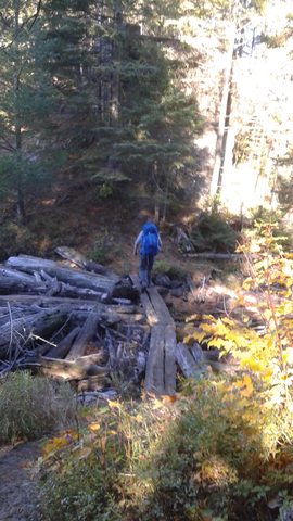 Photo from Thanksgiving weekend in Algonquin Provincial Park