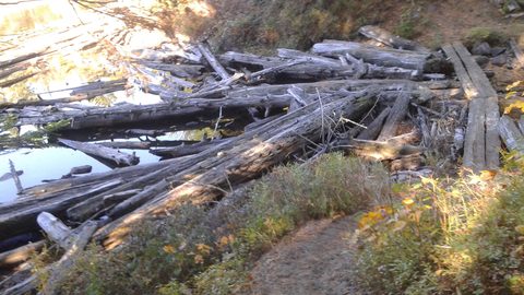Photo from Thanksgiving weekend in Algonquin Provincial Park