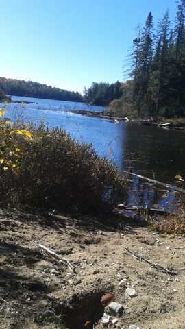 Photo from Thanksgiving weekend in Algonquin Provincial Park