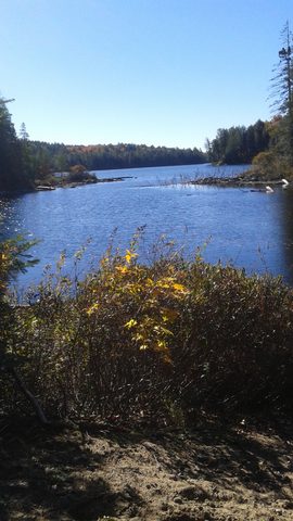 Photo from Thanksgiving weekend in Algonquin Provincial Park