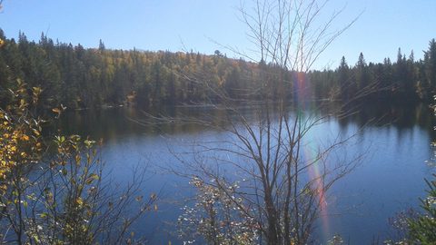 Photo from Thanksgiving weekend in Algonquin Provincial Park