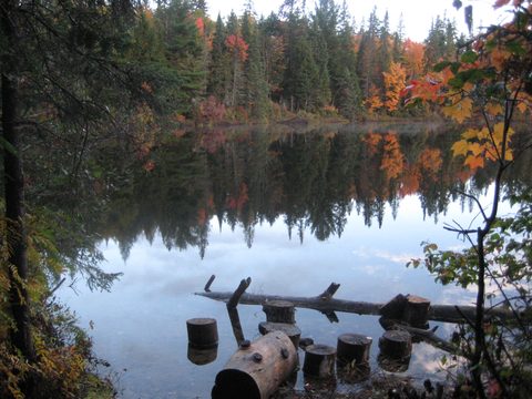 Photo from Thanksgiving weekend in Algonquin Provincial Park