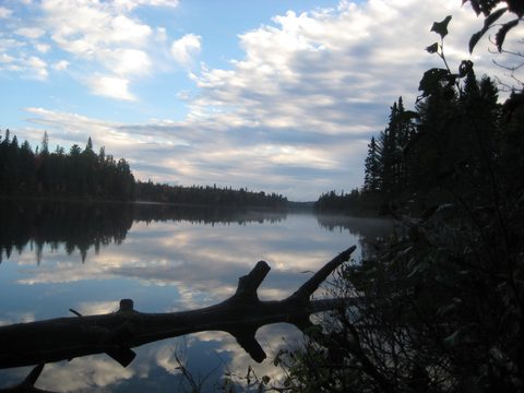 Photo from Thanksgiving weekend in Algonquin Provincial Park