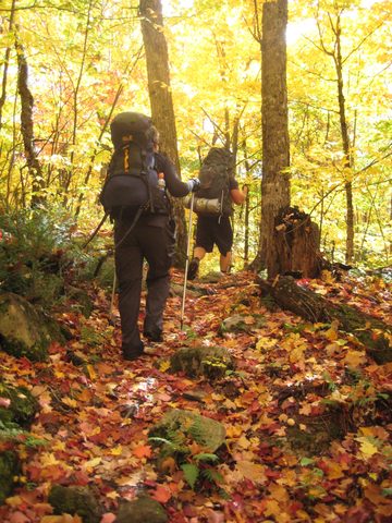 Photo from Thanksgiving weekend in Algonquin Provincial Park