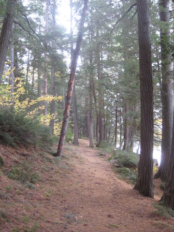 Photo from Thanksgiving weekend in Algonquin Provincial Park