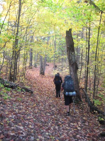 Photo from Thanksgiving weekend in Algonquin Provincial Park