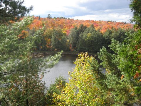 Photo from Thanksgiving weekend in Algonquin Provincial Park