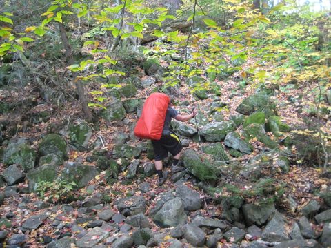 Photo from Thanksgiving weekend in Algonquin Provincial Park