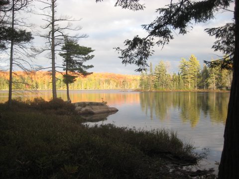 Photo from Thanksgiving weekend in Algonquin Provincial Park
