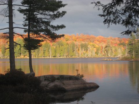 Photo from Thanksgiving weekend in Algonquin Provincial Park