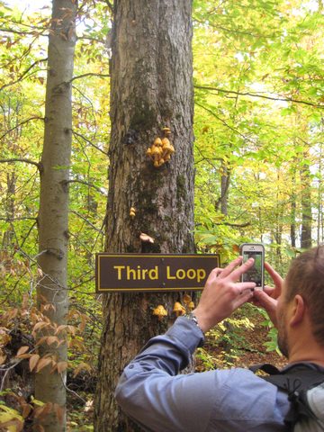 Photo from Thanksgiving weekend in Algonquin Provincial Park