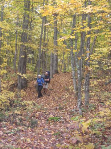Photo from Thanksgiving weekend in Algonquin Provincial Park