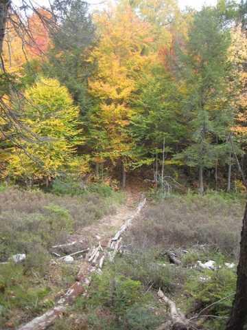 Photo from Thanksgiving weekend in Algonquin Provincial Park