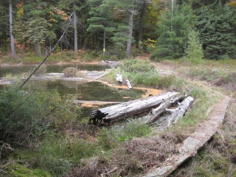 Photo from Thanksgiving weekend in Algonquin Provincial Park