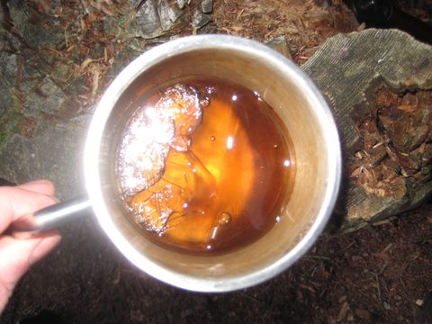 Photo from Thanksgiving weekend in Algonquin Provincial Park