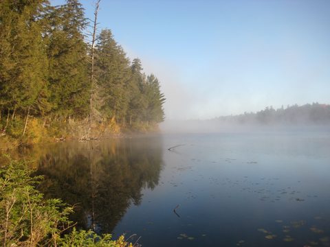 Photo from Thanksgiving weekend in Algonquin Provincial Park
