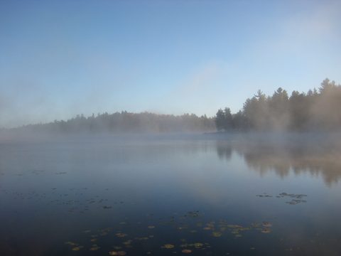 Photo from Thanksgiving weekend in Algonquin Provincial Park