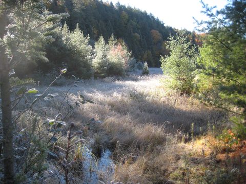 Photo from Thanksgiving weekend in Algonquin Provincial Park