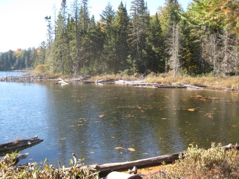 Photo from Thanksgiving weekend in Algonquin Provincial Park