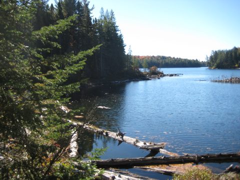 Photo from Thanksgiving weekend in Algonquin Provincial Park