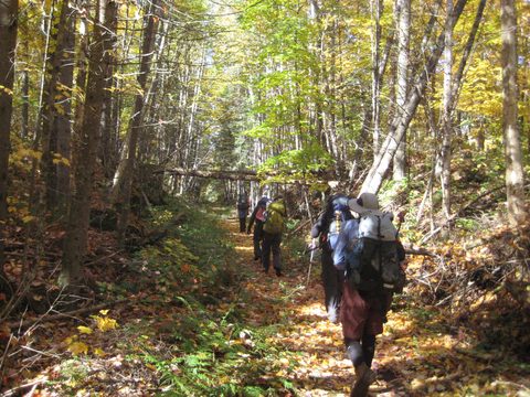Photo from Thanksgiving weekend in Algonquin Provincial Park