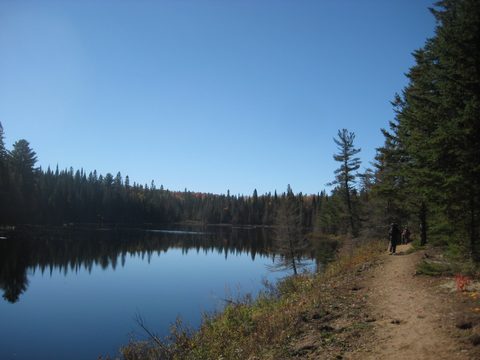 Photo from Thanksgiving weekend in Algonquin Provincial Park