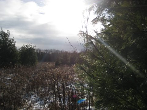 Photo from Backpacking, Reeds Dump, Bruce Trail, Lion's Head