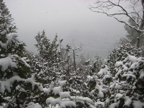 Photo from Backpacking, Reeds Dump, Bruce Trail, Lion's Head