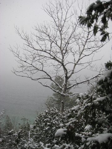 Photo from Backpacking, Reeds Dump, Bruce Trail, Lion's Head