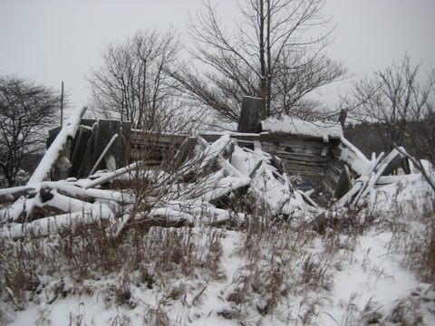 Photo from Backpacking, Reeds Dump, Bruce Trail, Lion's Head