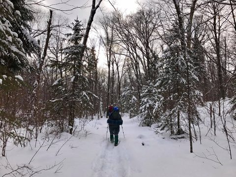 Photo from Snowshoeing Algonquin's Blue Diamond Loop for New Year's