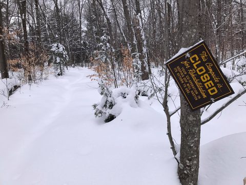 Photo from Snowshoeing Algonquin's Blue Diamond Loop for New Year's