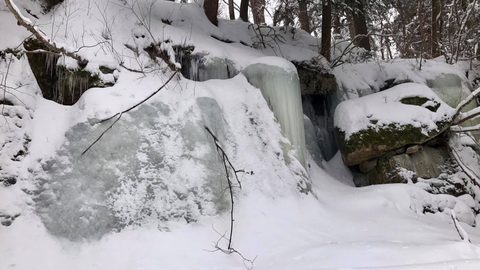 Photo from Snowshoeing Algonquin's Blue Diamond Loop for New Year's