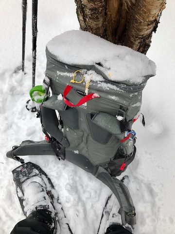 Photo from Snowshoeing Algonquin's Blue Diamond Loop for New Year's