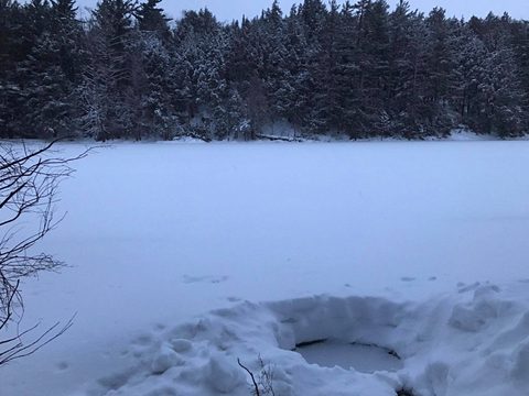 Photo from Snowshoeing Algonquin's Blue Diamond Loop for New Year's