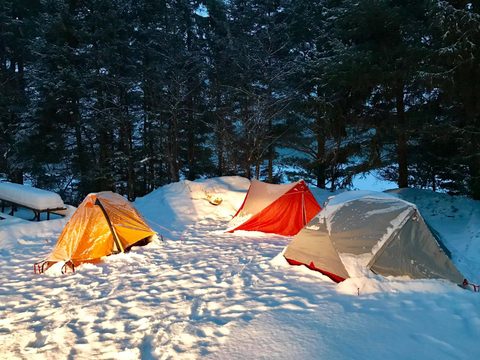 Photo from Snowshoeing Algonquin's Blue Diamond Loop for New Year's
