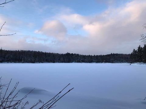 Photo from Snowshoeing Algonquin's Blue Diamond Loop for New Year's