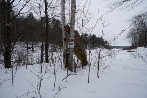 Photo from Queen Elizabeth II Wildlands - 2016 Pulk pull