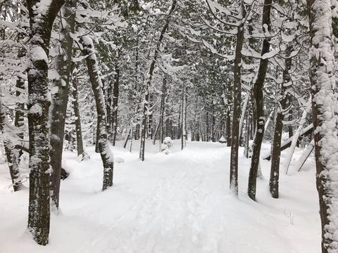 Photo from Winter backpacking in Bruce National Park