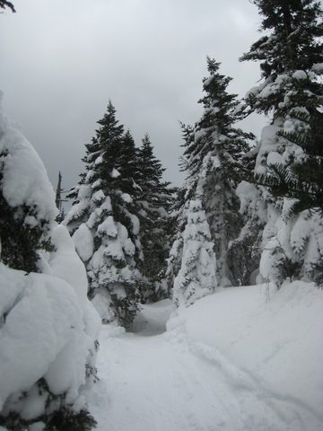 Photo from Climbing Mount Marcy