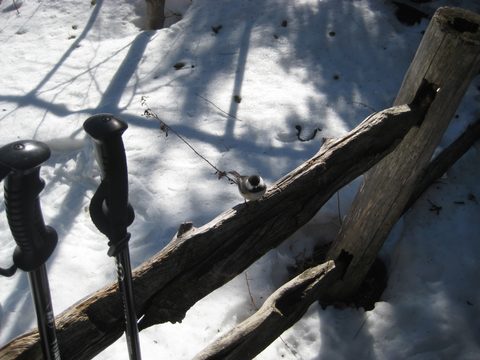 Photo from Climbing Mount Marcy