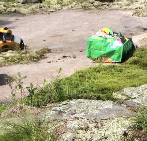 yup, that's the rattler, and that's where my tent had been all weekend