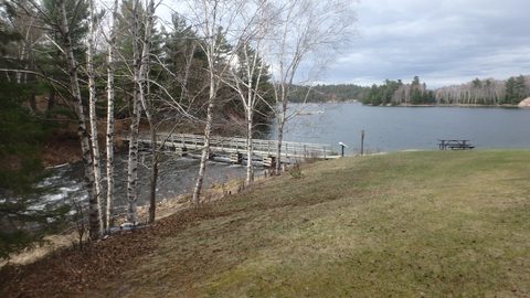 Photo from Killarney Spring Cleanup