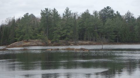 Photo from Killarney Spring Cleanup