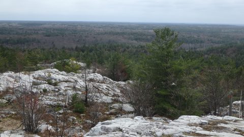 Photo from Killarney Spring Cleanup