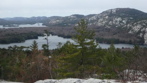 Photo from Killarney Spring Cleanup