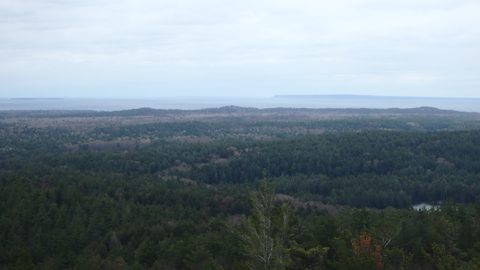 Photo from Killarney Spring Cleanup